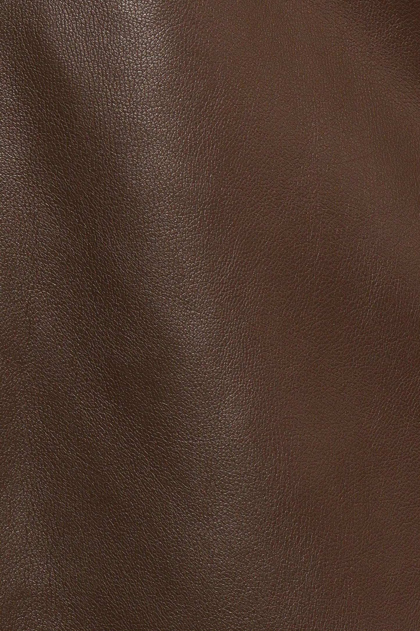 Haelee Faux Leather Skirt - Brown