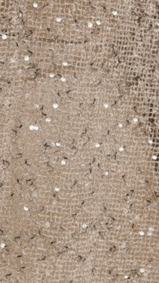 Zinnia Oversized Sequins Tee - Beige