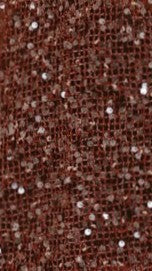 Zinnia Sequins Pant - Rust