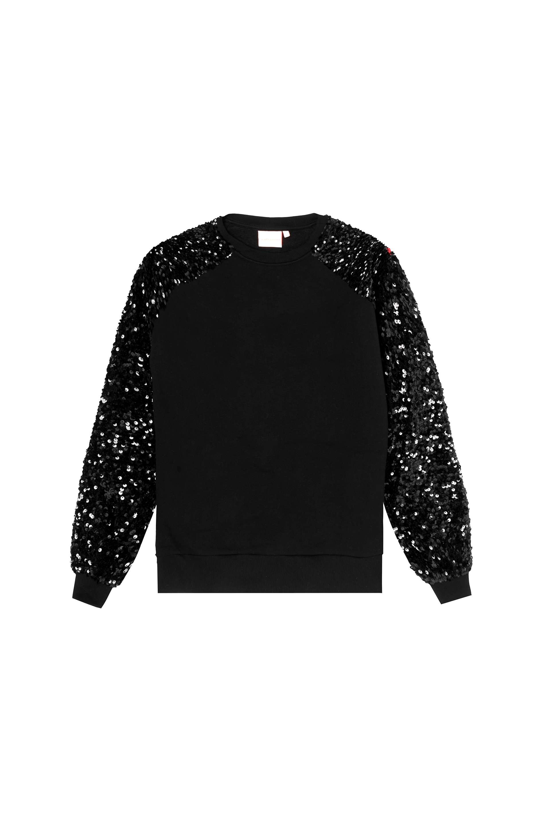 Black with Black Sequin Sleeve Raglan Sweatshirt