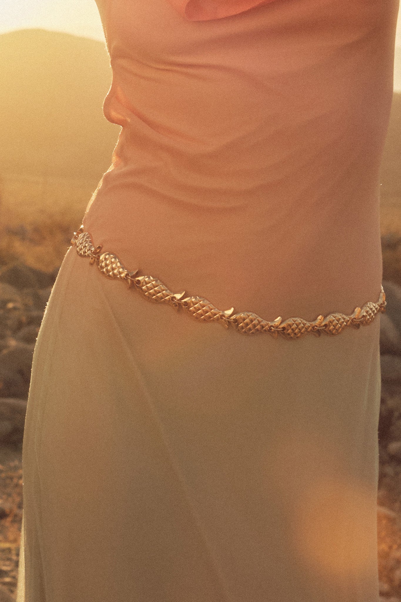 Morro Bay Gold Fish Link Chain Belt
