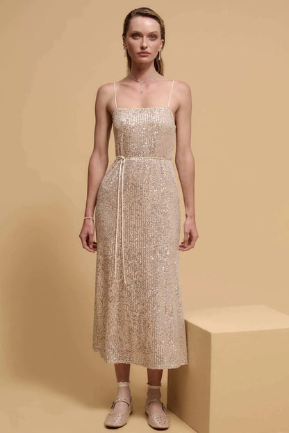 All That Glitters Sequin Midi Slip Dress