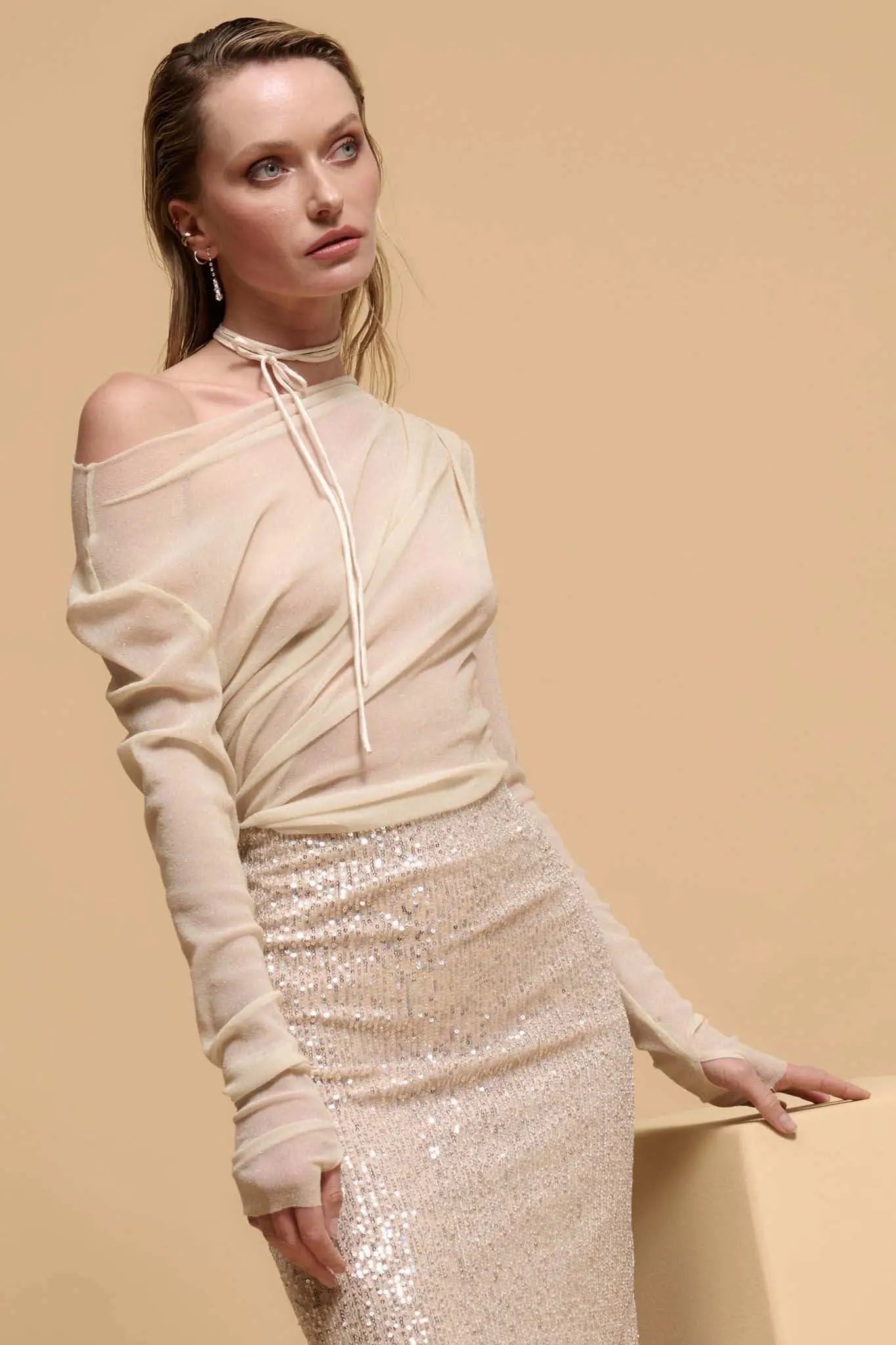 Astral Beauty Sheer Glitter Mesh Bodysuit