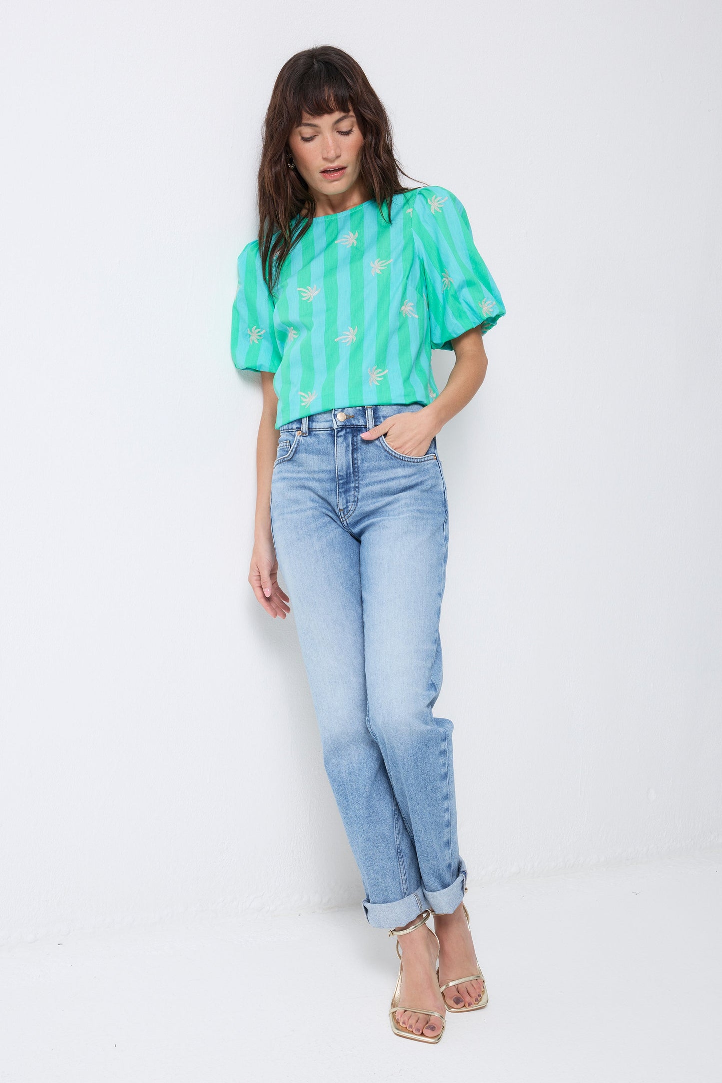 Blue with Green Stripe Short Blouson Sleeve Top