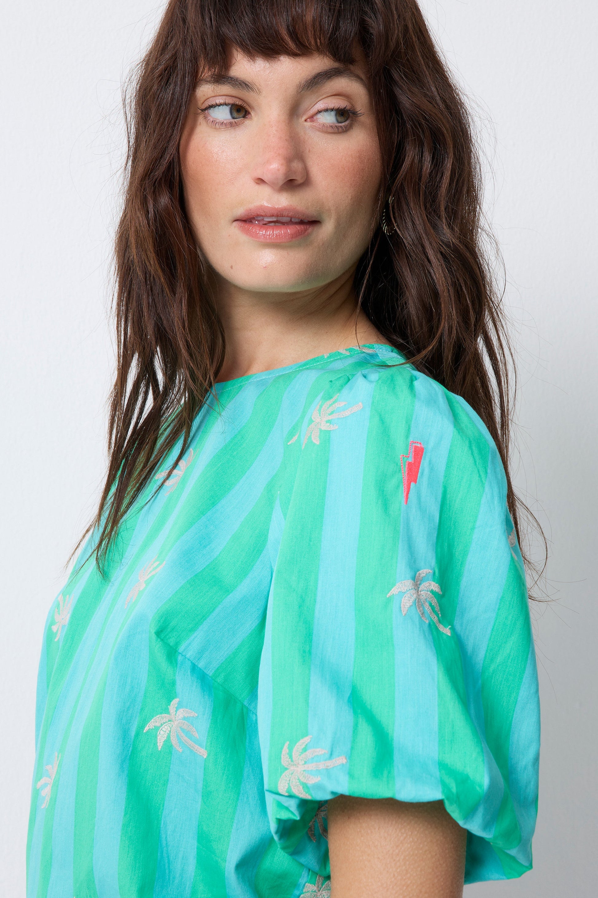 Blue with Green Stripe Short Blouson Sleeve Top