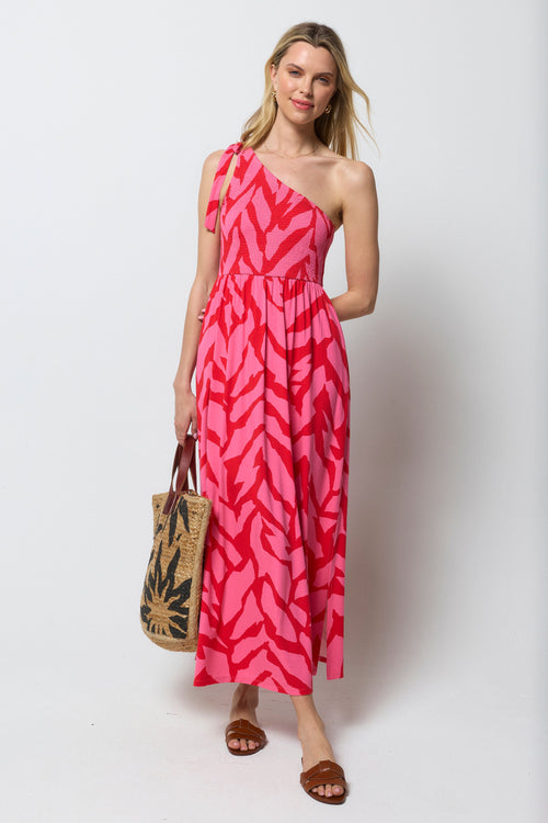 Red & Pink Zebra Jersey Maxi Dress