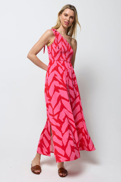 Red & Pink Zebra Jersey Maxi Dress