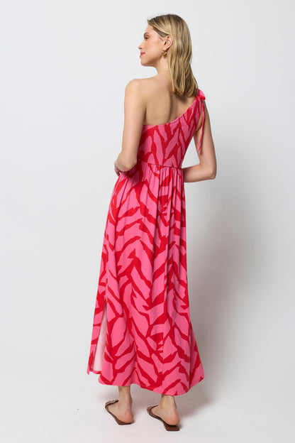 Red & Pink Zebra Jersey Maxi Dress