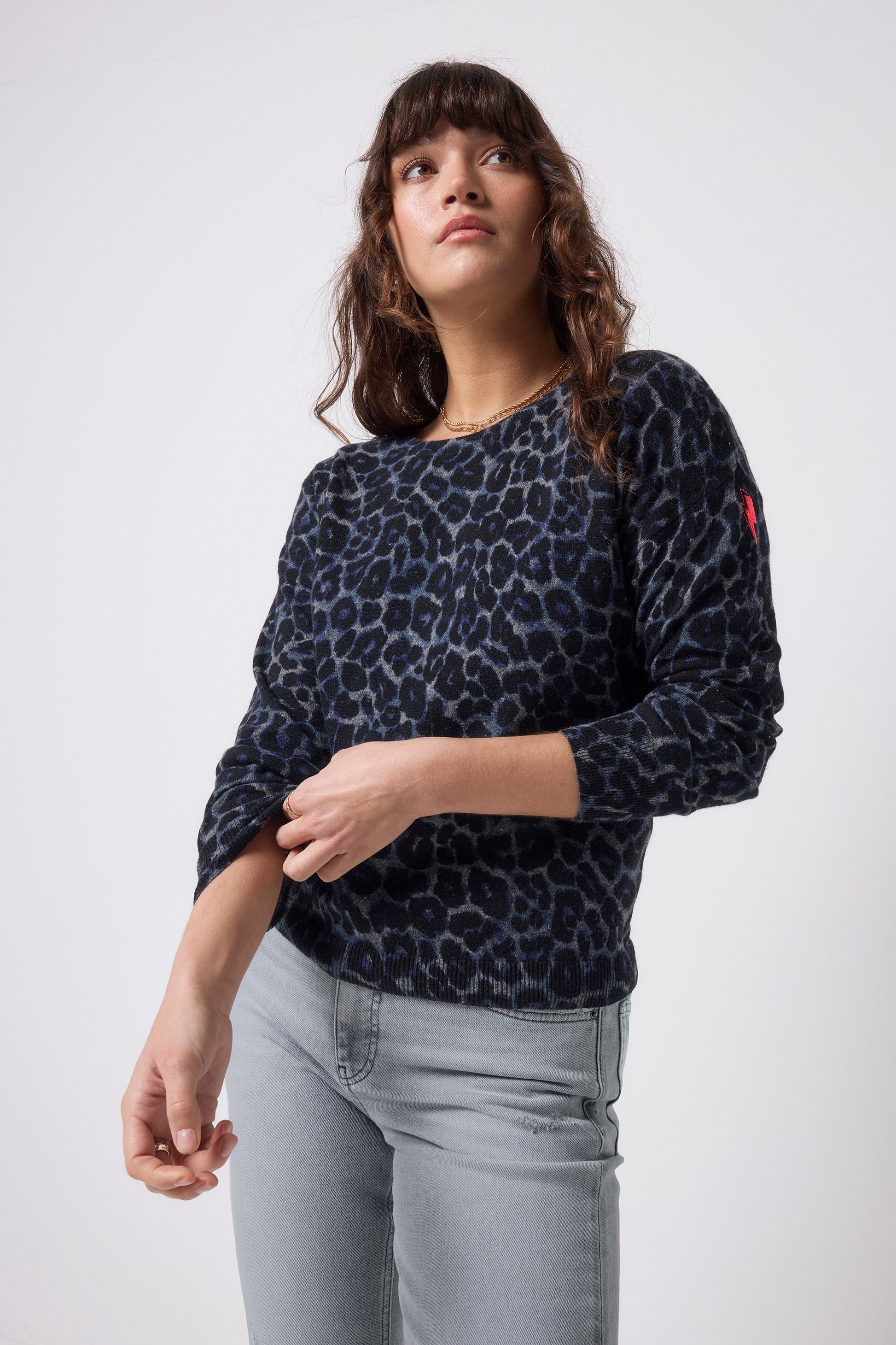 Navy Jaguar Printed Knit Jumper