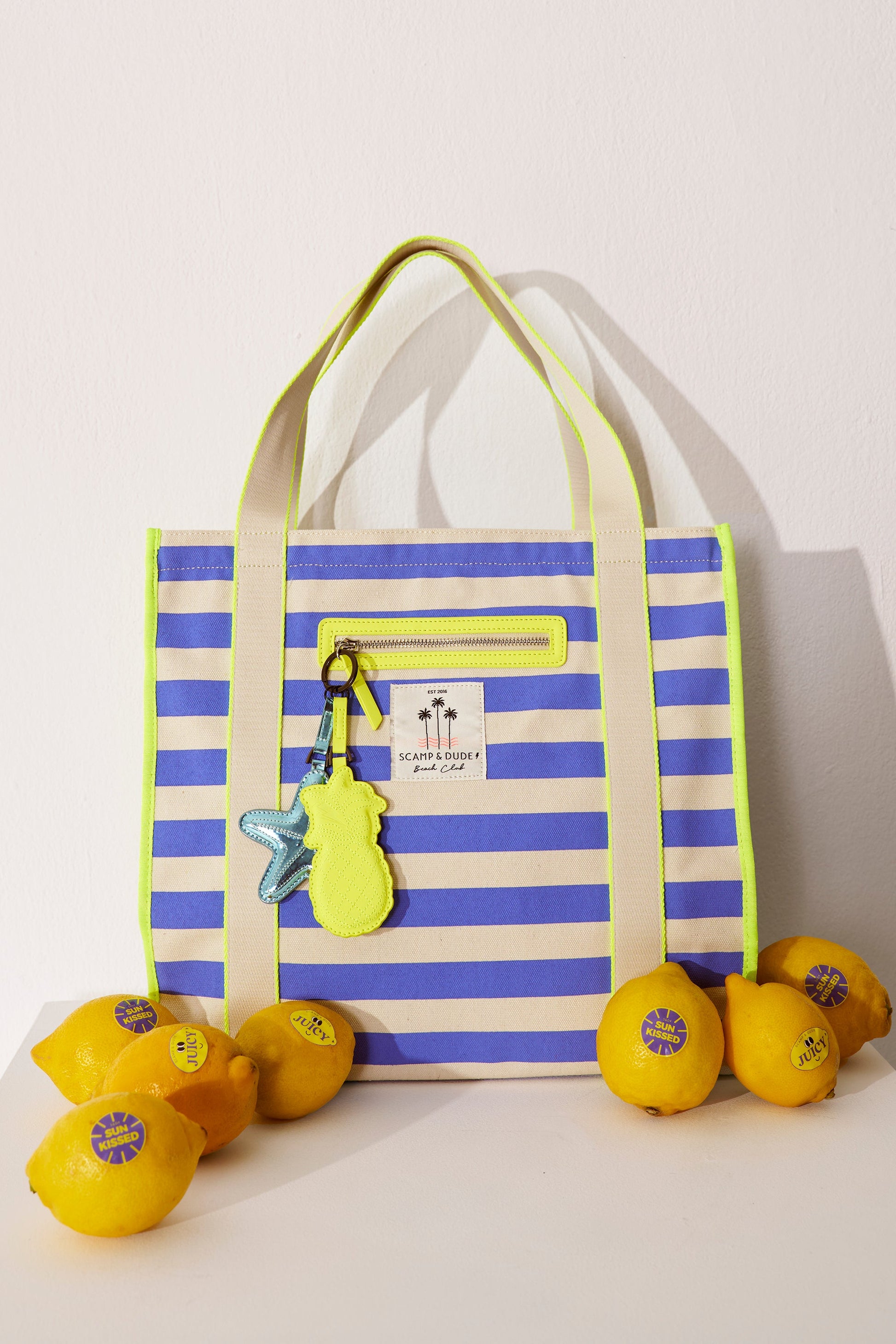 Blue and Ivory Stripe Canvas Tote Bag
