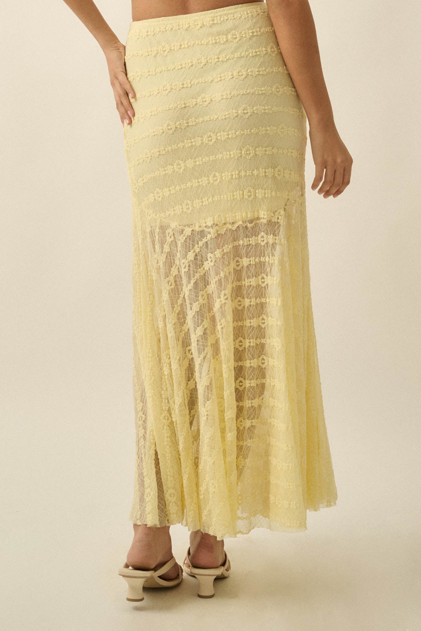 Blossoming Lace Floral Lace Drop-Waist Maxi Skirt