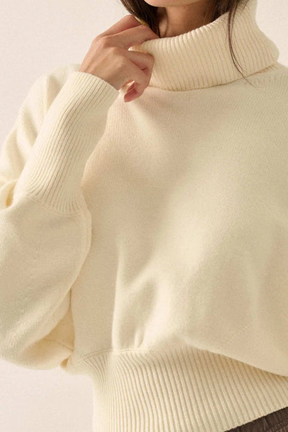 Now or Never Banded Turtleneck Sweater