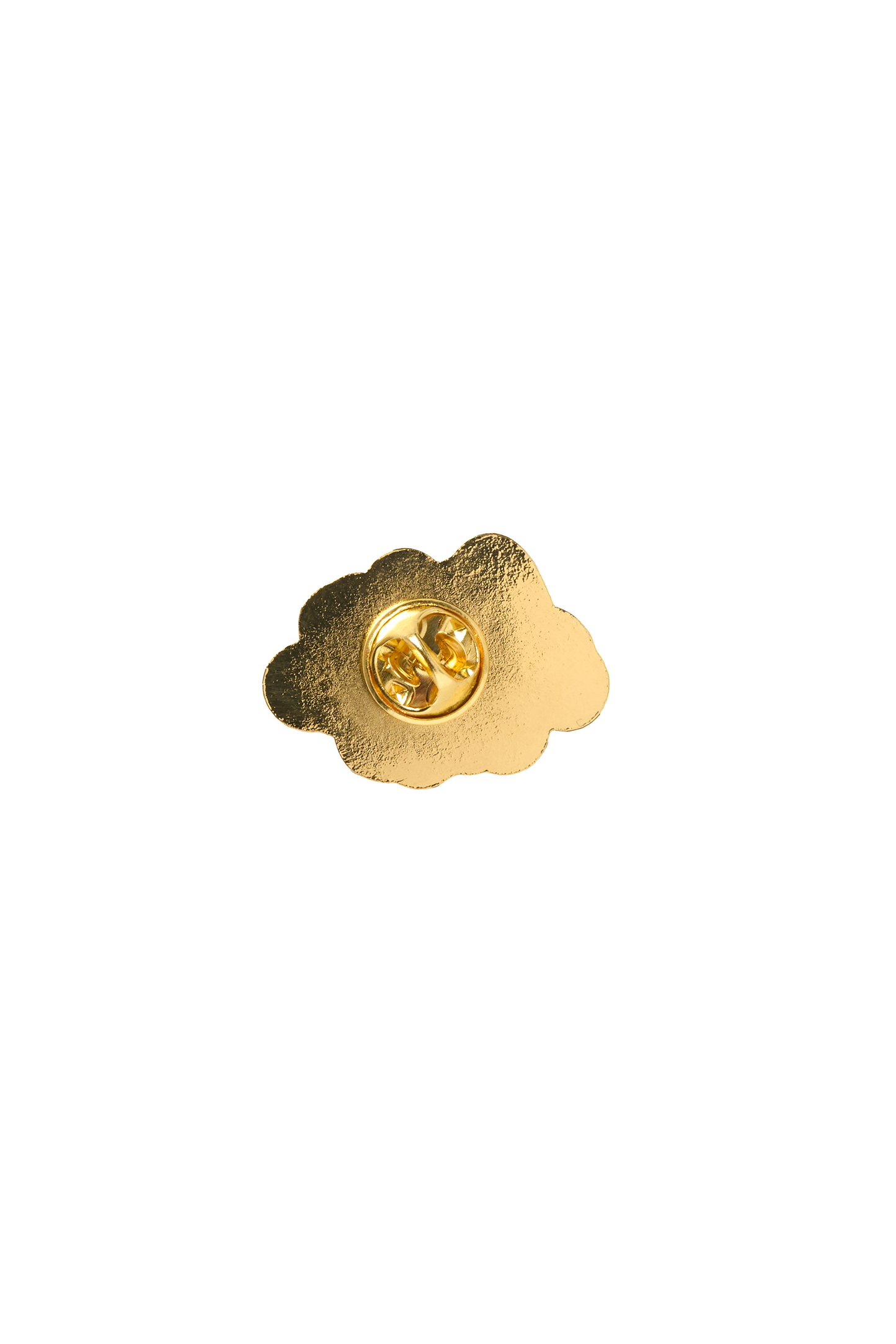Coral We've Got Your Back Pin Badge