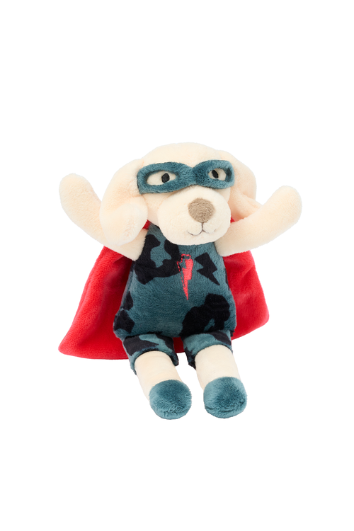 Charity Pocket Superhero Sleep Buddy Ziggy the Dog